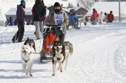 Lenk 2012 SM